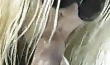 Anh già, chủ cho Nhóm sec thu dit nguoi