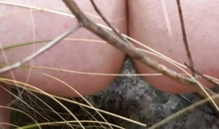 Trẻ tinh sec nguoi va thu vat quái fuck