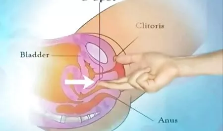 Siêu giao hợp của hai sec thu nguoi va ngua đồng tính